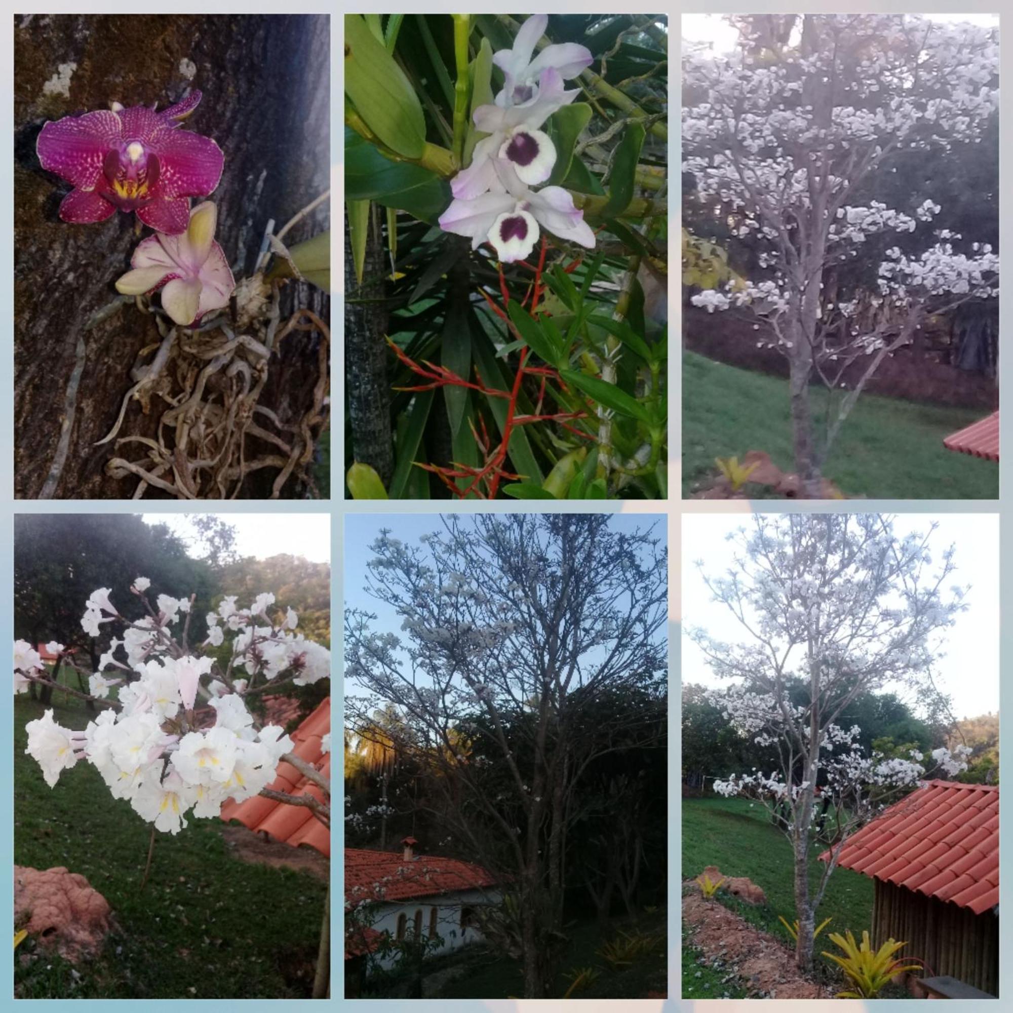 Pousada Rancho Flores Caeté Exteriör bild
