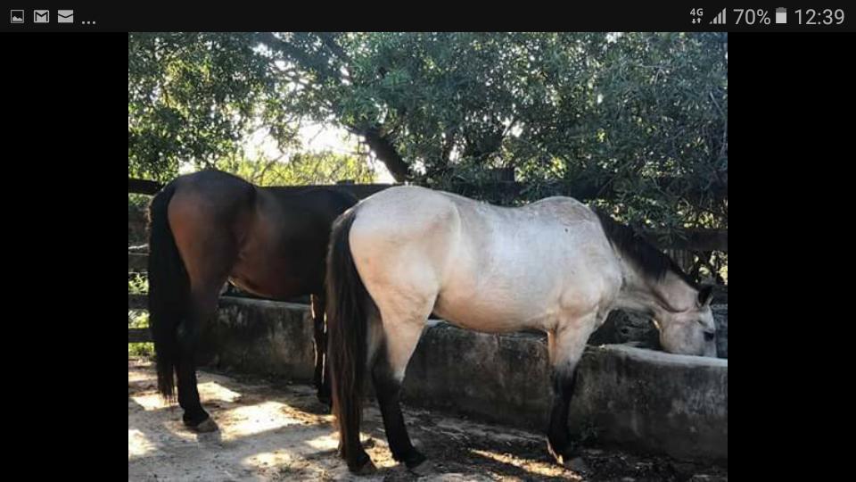 Pousada Rancho Flores Caeté Exteriör bild