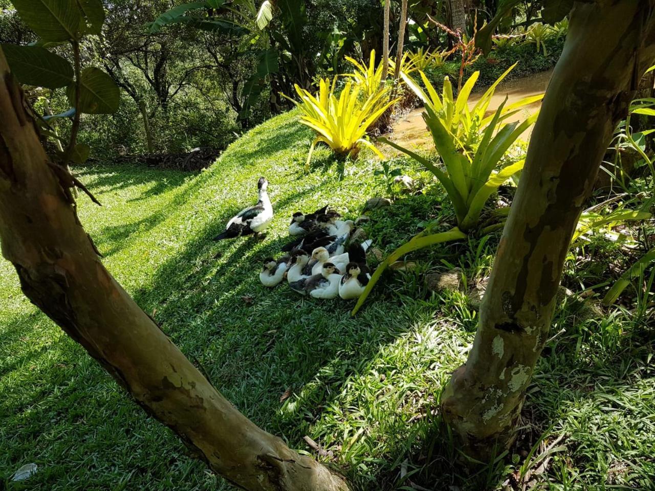 Pousada Rancho Flores Caeté Exteriör bild