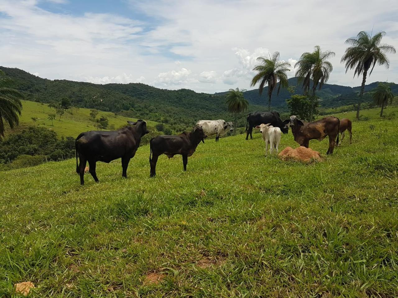 Pousada Rancho Flores Caeté Exteriör bild